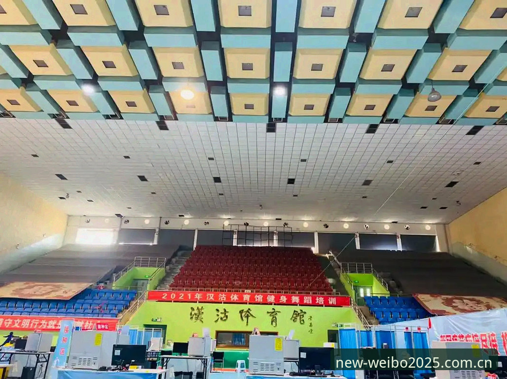 伟博体育打不开攻略：2025新版平台访问难题的深层原因与系统化解决方案