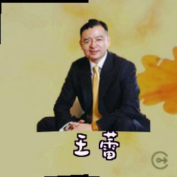 王蕾